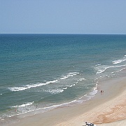 Picture 010